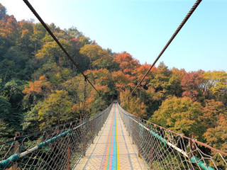 1521523990411419.jpg 古东森林公园.jpg