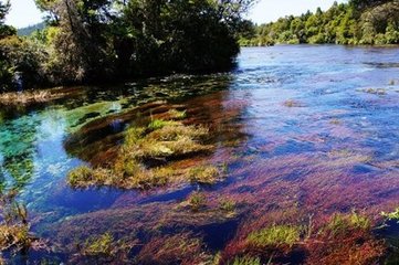 1527580295799329.jpg t0134cf51a6540bb5c2.jpg